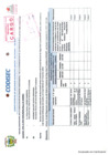 Vista preliminar de documento Informe N01-A-2024-MDCEEMResp.SC-CODISEC