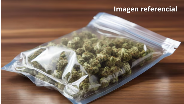 Prolongan prisión preventiva hombre encontrado con más de 400 gramos de marihuana 