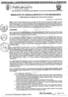 Vista preliminar de documento RGM 1307-2024