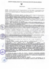 Vista preliminar de documento 1137_2024