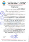 Vista preliminar de documento RESOLUCION ALCALDIA N° 619-2024-MPPC/AYAC.