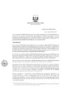 Vista preliminar de documento RD N° 0202-2024-MINEM/DGAAE