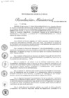 Vista preliminar de documento RM-442-2024-MINEM-DM