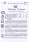 Vista preliminar de documento RESOLUCIÓN DIRECTORAL