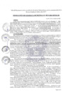 Vista preliminar de documento Resolución de Gerencia Municipal N.° 0519-2024-MPM/GM