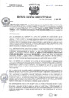 Vista preliminar de documento R.D N° 315-2024-HMA-DG