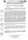 Vista preliminar de documento RER-233-2024-GOREMAD-CR