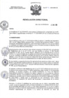 Vista preliminar de documento R.D N° 311-2024-HMA-DG