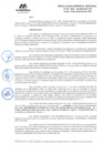 Vista preliminar de documento RGR GRI 267-2024
