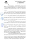 Vista preliminar de documento RGR GRI 265-2024