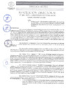 Vista preliminar de documento Nº.486- 2024 - GRSM/DIRESA-SM/OGESS-AH/DG
