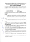Vista preliminar de documento Acta de sesión extraordinaria n° 4