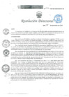 Vista preliminar de documento RD 242 DG 2024