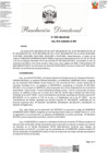 Vista preliminar de documento rd_1028_2024 VF