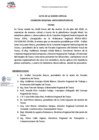 Vista preliminar de documento Acta de la Sesión Virtual Comisión Regional Anticorrupción de Tacna