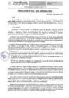 Vista preliminar de documento RESOLUCION N° 210-2024-UNHEVAL-URH/J