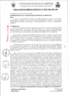 Vista preliminar de documento RG0345-2024