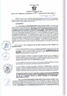 Vista preliminar de documento RGSR 453-2024