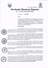 Vista preliminar de documento RDR 295