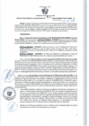 Vista preliminar de documento RGSR 455-2024