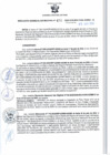 Vista preliminar de documento RGSR 456-2024