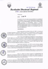 Vista preliminar de documento RDR 294