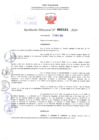 Vista preliminar de documento Resolución Directoral. N° 2484 - 2024