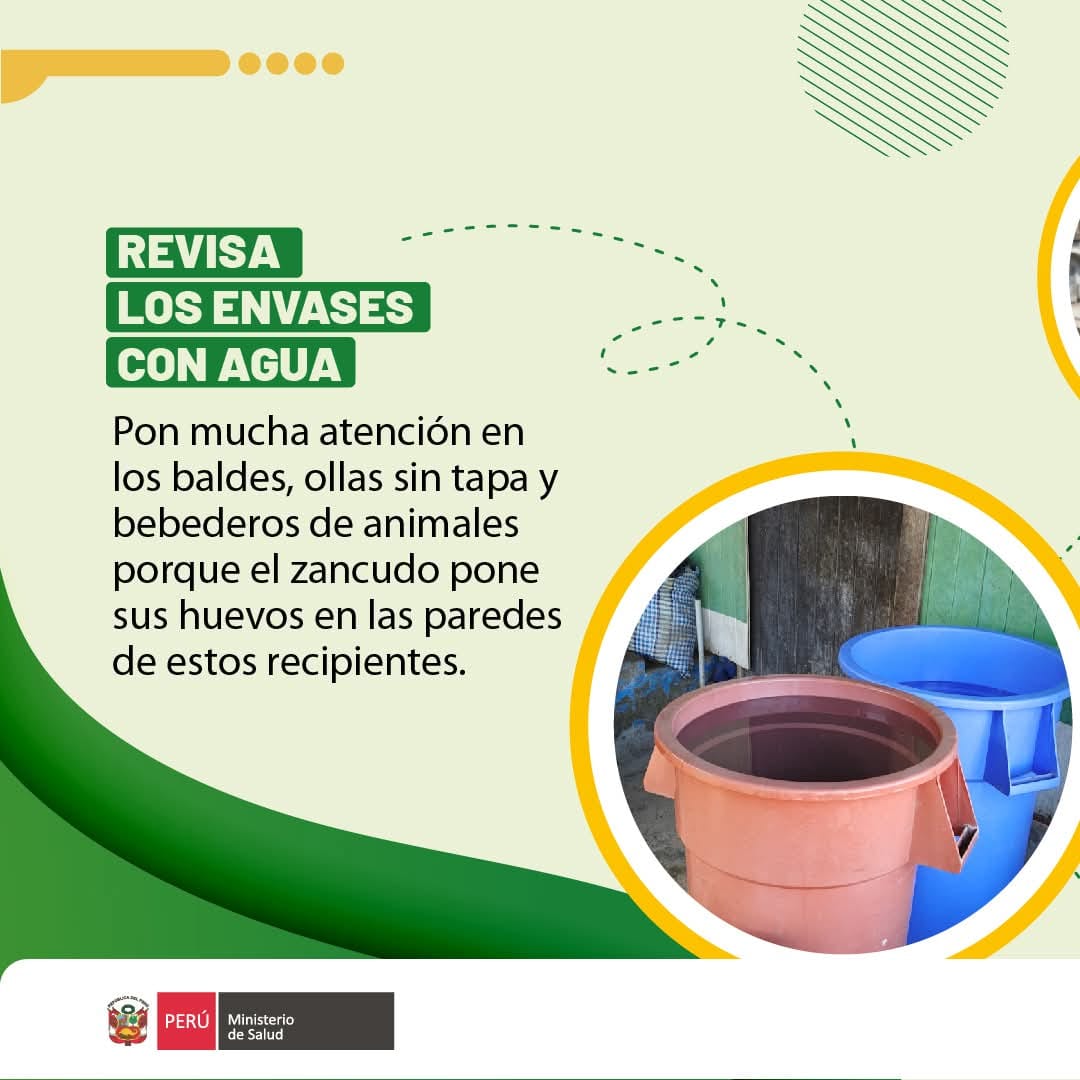 dengue2