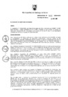 Vista preliminar de documento Resolución de Alcaldía N.° 110-2020-RASS