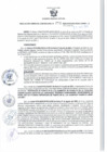 Vista preliminar de documento RGSR 479-2024