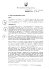 Vista preliminar de documento Resolución de Alcaldía N.° 483-2020-RASS