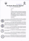 Vista preliminar de documento RDR 293