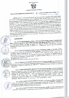 Vista preliminar de documento RGSR 493-2024