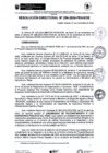 Vista preliminar de documento rd254-2024