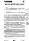 Vista preliminar de documento rd256-2024