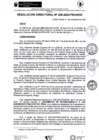 Vista preliminar de documento rd259-2024