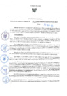 Vista preliminar de documento RES-733-2024-GRDS