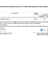 Vista preliminar de documento ANEXO N 06 199 ffff