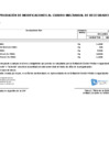 Vista preliminar de documento ANEXO N 06 217 fff