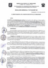 Vista preliminar de documento Resolución Gerencial N.° 307-2024-GM