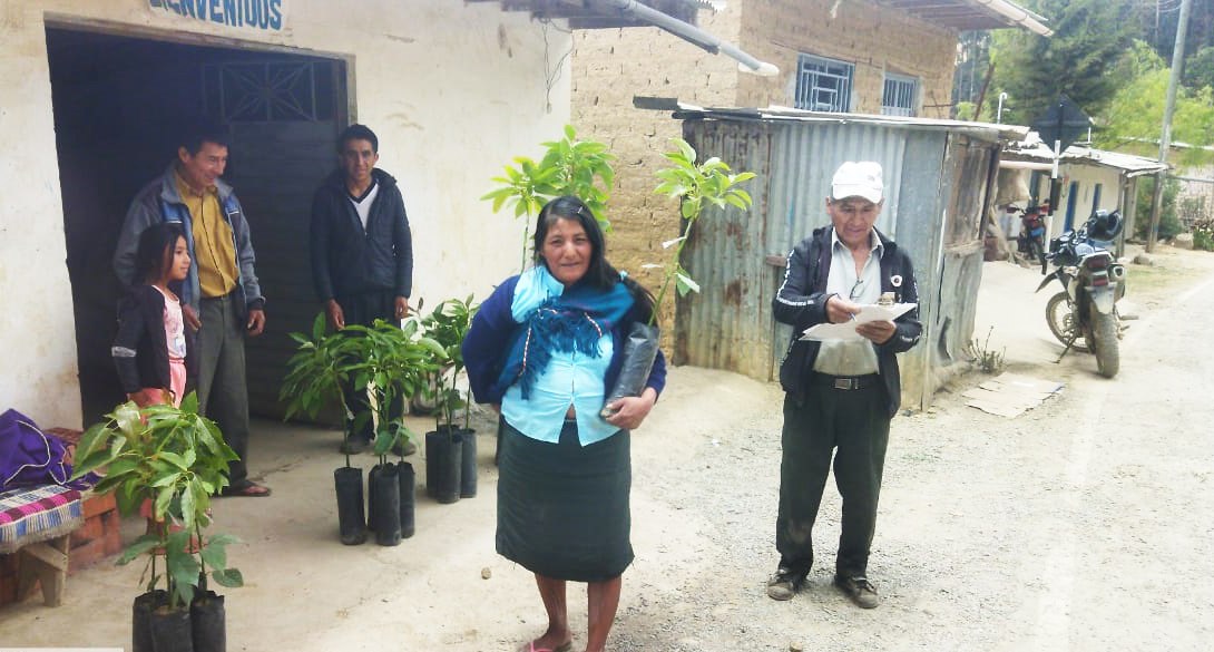 Municipalidad realiza entrega de plantones frutales de diversas especies