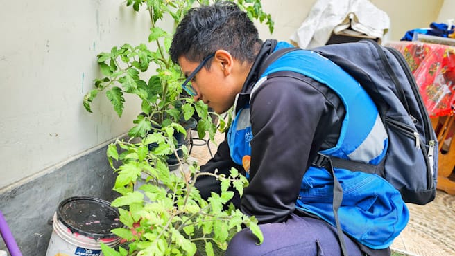 “Dengue App”: inspectores de la Diris Lima Centro usarán nueva herramienta tecnológica para luchar contra el dengue