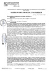 Vista preliminar de documento ACM24N234