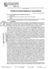Vista preliminar de documento ACM24N239