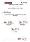 Vista preliminar de documento CPM 003-2024 CAP Proceso N° 004 Técnico Investigador V[R][R][R]
