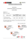 Vista preliminar de documento CPM CAS 003-2024 Proceso N° 005 Técnico en Química[R][R][R]
