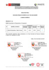 Vista preliminar de documento CPM CAS 003-2024 Proceso N° 006 Especial. Planeam. y Ppto[R][R][R]