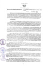 Vista preliminar de documento GRDE. 086