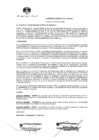 Vista preliminar de documento ACUERDO_DE_CONCEJO_Nº_041_2020_MDS