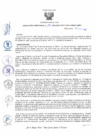 Vista preliminar de documento RD199